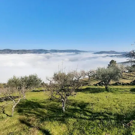 Ferradosa