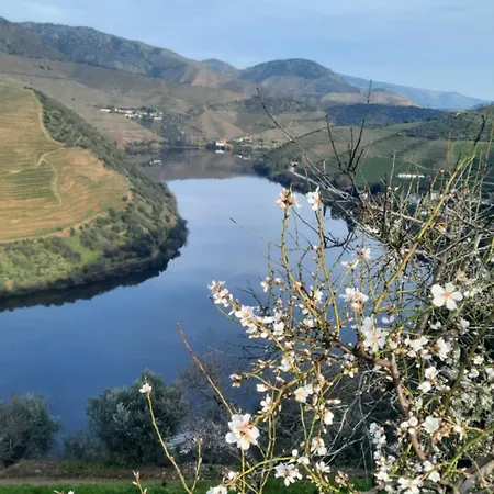 ホームステイ Ferradosa