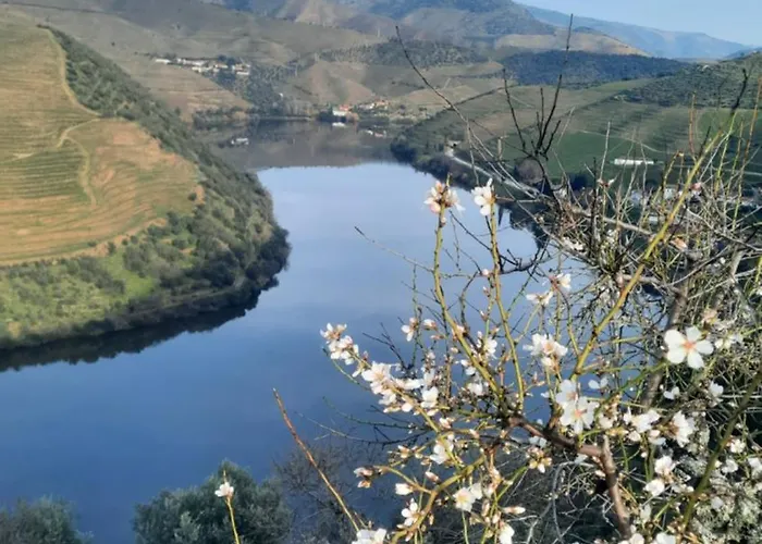 Проживание в семье Ferradosa