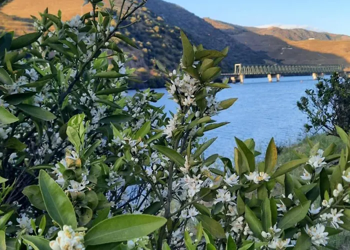 Ferradosa Проживание в семье